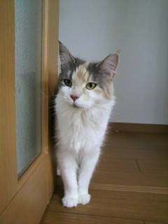 2011050414410000.jpg