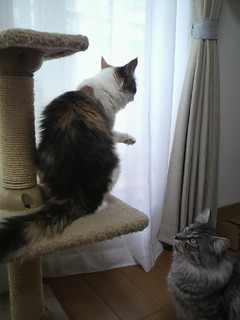 2011050414460000.jpg