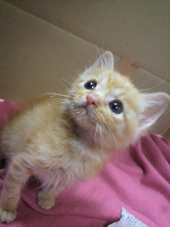 2011050418470000.jpg