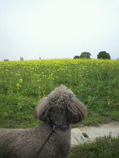 2011050510180002.jpg