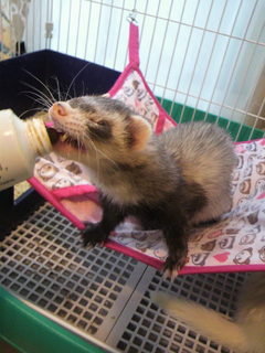 2011050616370000.jpg