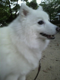 2011050718370000.jpg