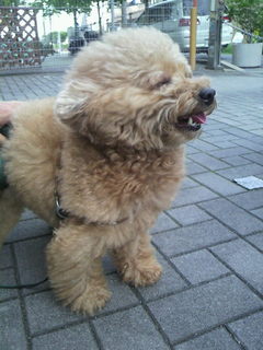 2011051315470001.jpg