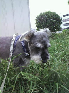 2011052517080000.jpg