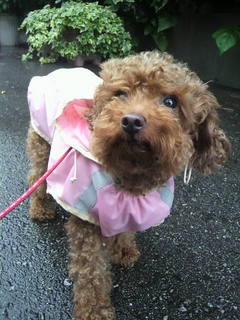 2011052809180001.jpg