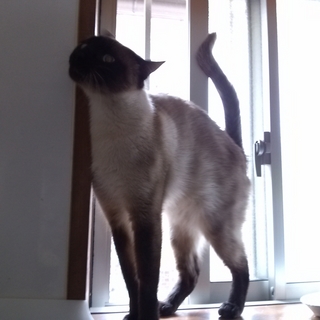 FxCam_1367369955138.jpg