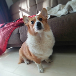 FxCam_1390523783321.jpg