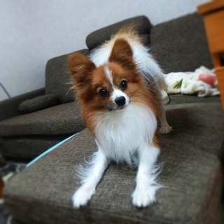 FxCam_1392075068550.jpg