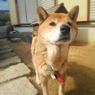 FxCam_1392089935943.jpg