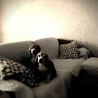 lento_20120225091557.jpg